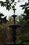 Water fountain against forest backdrop