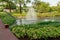 Water fountain in park