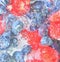 Water with fresh berries, close-up. Close-up view of the blueberries and raspberries in water background. Texture of