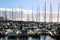 Water Front of the Port of Funchal, Madeira, Portugal