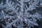 water frozen background snowflakes ice frost snow winter close pattern frosty background christmas water crystals ice