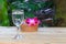 Water glass cool select focus with shallow depth of field. with orchid purple e on wooden floor board spa concept