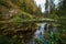 water grass and green refletions in old river