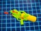 Water gun. Colorful squirt gun in neon color yellow and green. Water gun is floating in the swimming pool