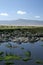 Water Hole - Ngorongoro Crater, Tanzania, Africa