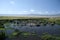 Water Hole - Ngorongoro Crater, Tanzania, Africa