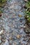 Water from hot spring flowing on the rock in a morning