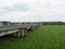 Water Hyacinth flow by the river and cover all river surface in upper dam caused a huge problem in irrigation.