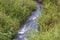 Water of irrigation in canal