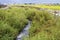 Water of irrigation in canal