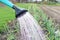 Water jet from a watering can close - up-the concept of watering and fertilizing plants in the spring season on the garden plot