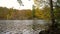 Water level clip of lake surrounded by trees in Autumn or Fall