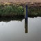 Water level meter in a Dutch ditch