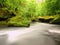 Water level under fresh green trees at mountain river. Fresh spring air in the evening