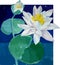 Water lilies