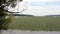 Water lilies field at the confluence of the Rondout Creek and the Hudson River, Kingston, NY, USA