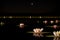 Water lilies glowing with inner luminescence on a moonlit pond