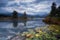 Water lilies on lake Barmsee in clouded morning