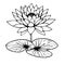 water lily larkspur July birth flower tattoo, realistic black and white water lily tattoo, water lily tattoo black and white