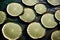 Water lily pads floating serenely in a tranquil pond