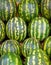 Water-melon background
