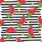 Water Melon Seamless Pattern Striped Vector Illustration.