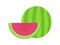 Water melon.Vector fruit illustration