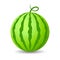 Water melon vector icon