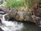 Water from a mount under a waterfall overflows a rock