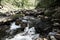 Water of mountain river flows down from the rocks