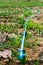 Water pipe supply garden farm strawberries berries in field