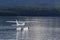 Water plane floating over te anau lake fiordland national park n