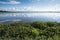 Water plants in Asian lake with dramatic early morning sky