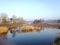 Water plants reflecting on the peaceful water with blue sky