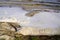 Water pollution foam on beach coast surface of lake river
