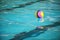 A water polo ball floating on the water in a pool