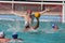 Water Polo shot