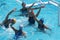 Water polo women. Hungary vs russia