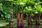 Water pool with Devi Saraswati sculpture, hindu goddess of knowledge