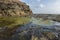 Water pools amd Moss covered rocks at Harinareshwar Rocky beach,Maharashtra,India