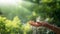 Water pouring and splash in woman hand on nature background, earth day, environment issues