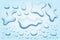 Water puddle drops set. Top view liquid splashes set, wet environment. Water spill or aqua scattered drops isolated on