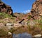 Water puddle, Tirajana ravine, Gran canaria