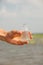 Water Purity Test. Hand holding chemical flask with liquid, lake or river in the background.