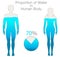 Water rate in the human body is seventy percent. Proportion h2o. Female and male silhouettes, filled with 70% water. Pie chart.