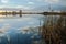 Water reeds and reflection of clouds in the lake