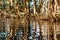 Water reflecting mangrove trees roots, Celestun, Yucatan, Mexico