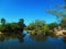 WATER REFLECTION IN CAIRNS , QUEENSLAND , AUSTRALIA