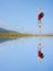 Water Reflection Happy Woman Jumping with blue sky