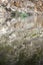 Water reflection on lake formed in abandoned quarry